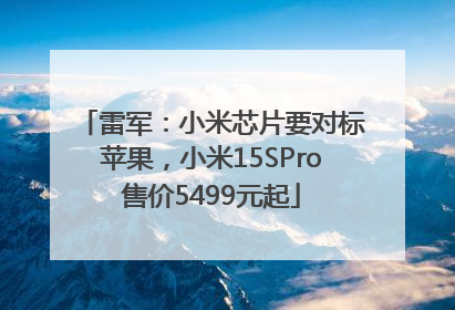 雷军：小米芯片要对标苹果，小米15SPro售价5499元起