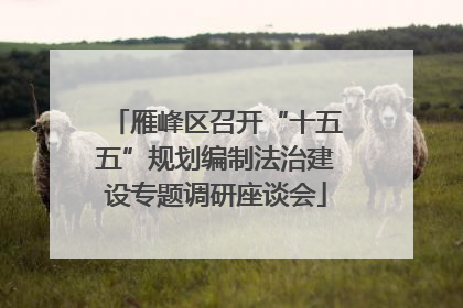雁峰区召开“十五五”规划编制法治建设专题调研座谈会