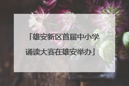 雄安新区首届中小学诵读大赛在雄安举办