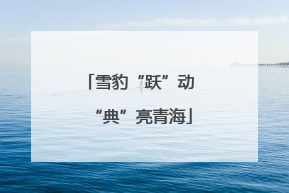 雪豹“跃”动 “典”亮青海