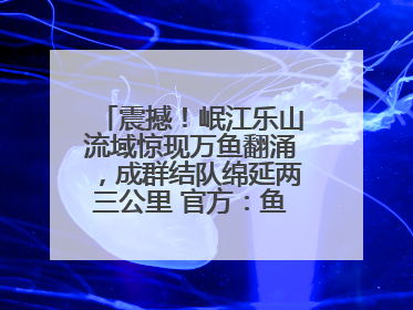 震撼！岷江乐山流域惊现万鱼翻涌，成群结队绵延两三公里 官方：鱼群在此产卵