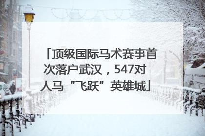 顶级国际马术赛事首次落户武汉，547对人马“飞跃”英雄城