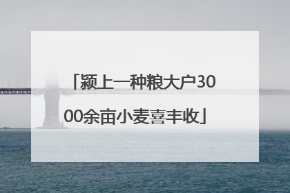颍上一种粮大户3000余亩小麦喜丰收