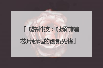 飞骧科技：射频前端芯片领域的创新先锋