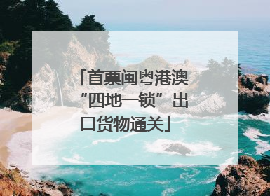首票闽粤港澳“四地一锁”出口货物通关