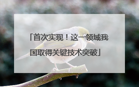 首次实现！这一领域我国取得关键技术突破
