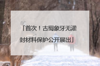 首次！古蜀象牙无灌封材料保护公开展出