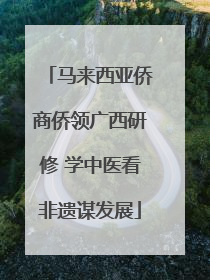 马来西亚侨商侨领广西研修 学中医看非遗谋发展