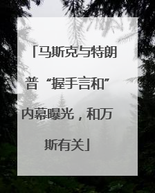 马斯克与特朗普“握手言和”内幕曝光，和万斯有关