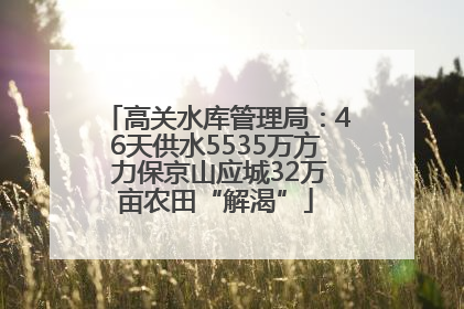 高关水库管理局：46天供水5535万方 力保京山应城32万亩农田“解渴”