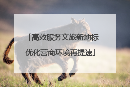 高效服务文旅新地标 优化营商环境再提速