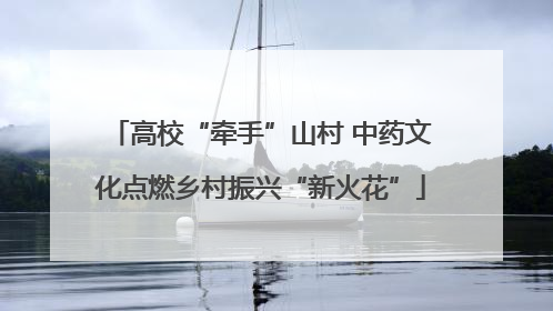 高校“牵手”山村 中药文化点燃乡村振兴“新火花”