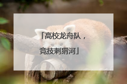 高校龙舟队，竞技刺猬河