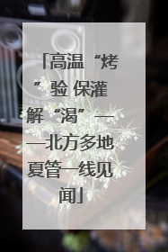 高温“烤”验 保灌解“渴”——北方多地夏管一线见闻