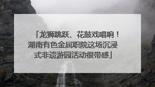 龙狮跳跃、花鼓戏唱响！湖南有色金属职院这场沉浸式非遗游园活动很带感