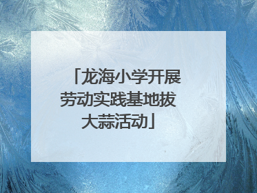 龙海小学开展劳动实践基地拔大蒜活动