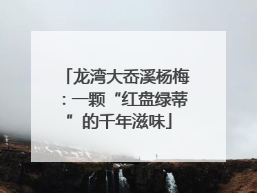 龙湾大岙溪杨梅：一颗“红盘绿蒂”的千年滋味