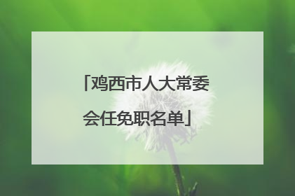 鸡西市人大常委会任免职名单