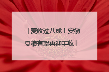 麦收过八成！安徽夏粮有望再迎丰收