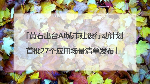 黄石出台AI城市建设行动计划 首批27个应用场景清单发布