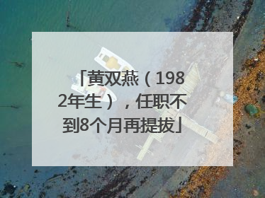 黄双燕（1982年生），任职不到8个月再提拔