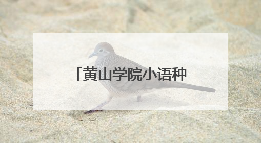黄山学院小语种微专业学生助力景区外语讲解服务