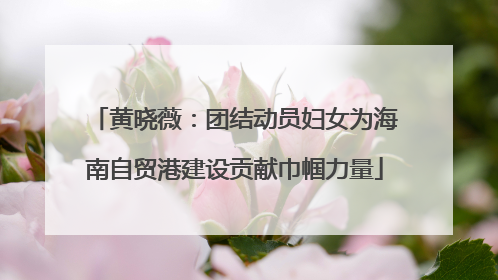 黄晓薇：团结动员妇女为海南自贸港建设贡献巾帼力量