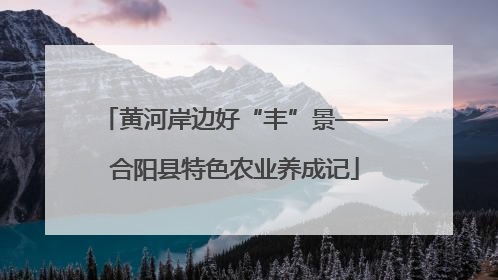 黄河岸边好“丰”景——合阳县特色农业养成记