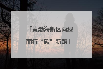 黄渤海新区向绿而行“碳”新路