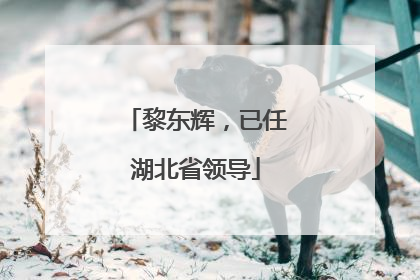 黎东辉，已任湖北省领导