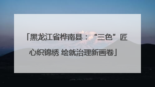黑龙江省桦南县：“三色”匠心织锦绣 绘就治理新画卷