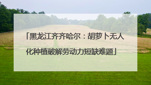 黑龙江齐齐哈尔：胡萝卜无人化种植破解劳动力短缺难题