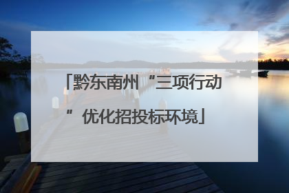 黔东南州“三项行动”优化招投标环境