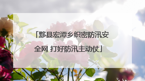 黟县宏潭乡织密防汛安全网 打好防汛主动仗