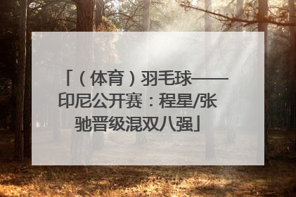 （体育）羽毛球——印尼公开赛：程星/张驰晋级混双八强