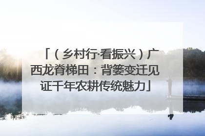 （乡村行·看振兴）广西龙脊梯田：背篓变迁见证千年农耕传统魅力