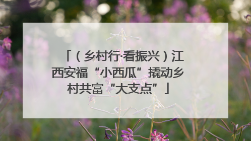 （乡村行·看振兴）江西安福“小西瓜”撬动乡村共富“大支点”