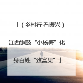 （乡村行·看振兴）江西铜鼓“小杨梅”化身百姓“致富果”