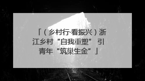 （乡村行·看振兴）浙江乡村“自我重塑” 引青年“筑巢生金”