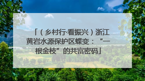 （乡村行·看振兴）浙江黄岩水源保护区蝶变：“一根金枝”的共富密码