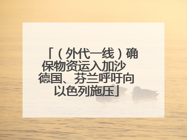 （外代一线）确保物资运入加沙 德国、芬兰呼吁向以色列施压