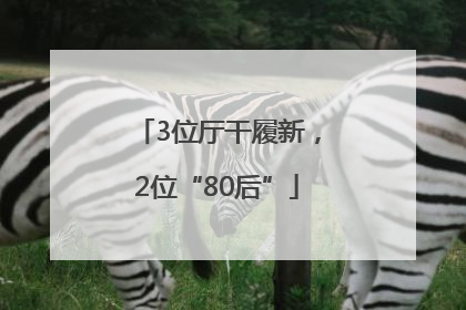 3位厅干履新，2位“80后”