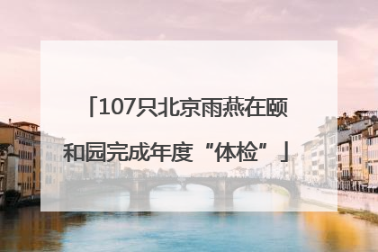 107只北京雨燕在颐和园完成年度“体检”