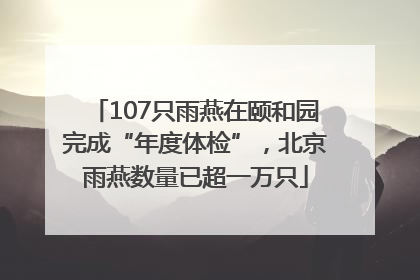 107只雨燕在颐和园完成“年度体检”，北京雨燕数量已超一万只
