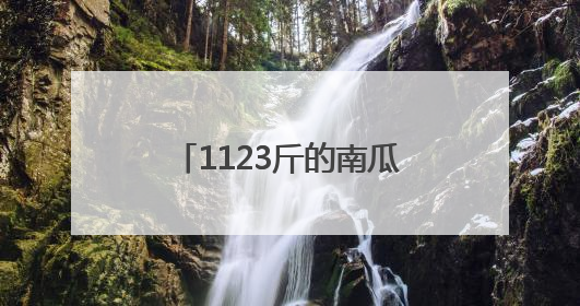 1123斤的南瓜你见过吗？潍坊“新农人”种出来了！