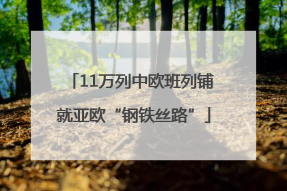 11万列中欧班列铺就亚欧“钢铁丝路”