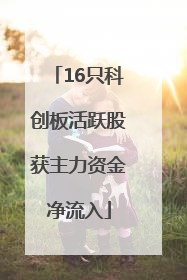16只科创板活跃股获主力资金净流入