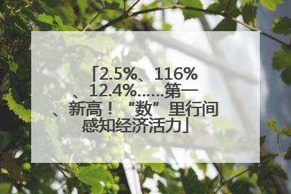 2.5%、116%、12.4%……第一、新高！“数”里行间感知经济活力