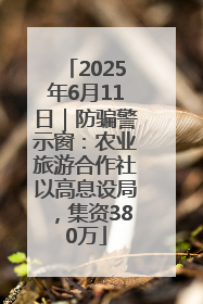 2025年6月11日｜防骗警示窗：农业旅游合作社以高息设局，集资380万