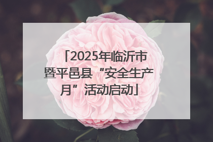 2025年临沂市暨平邑县“安全生产月”活动启动